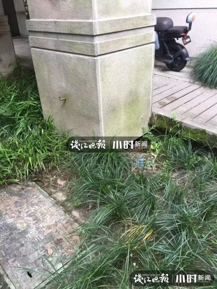 DƬ